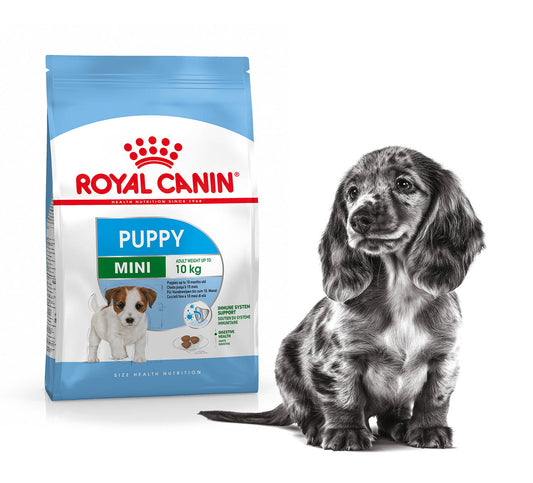 ROYAL CANIN -mini- cachorro 8KG