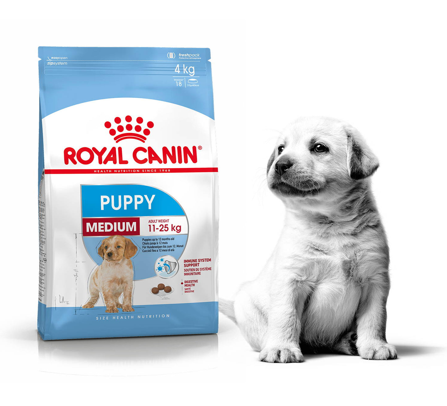 ROYAL CANIN -mediano- cachorro 2-12 meses 4KG