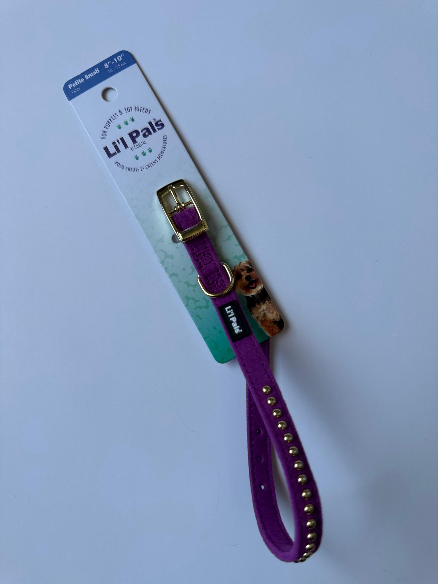 COLLAR LI´L PALS MINI 3/8”– FUCSIA CON DORADO