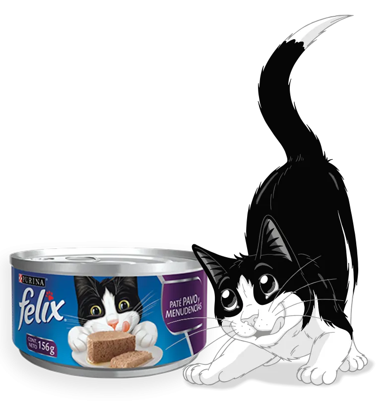 PURINA FELIX gato adulto -todas las razas- paté pavo & menudencias enlatado 156G