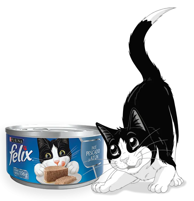 PURINA FELIX gato adulto -todas las razas- paté pescado & atún enlatado 156G