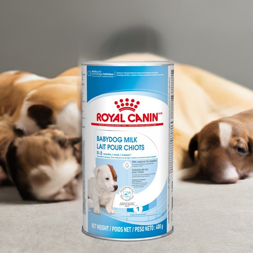 ROYAL CANIN -babydog milk- formula lactante para cachorros 400G