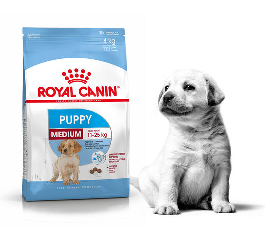 ROYAL CANIN -mediano- cachorro 2-12 meses 4KG