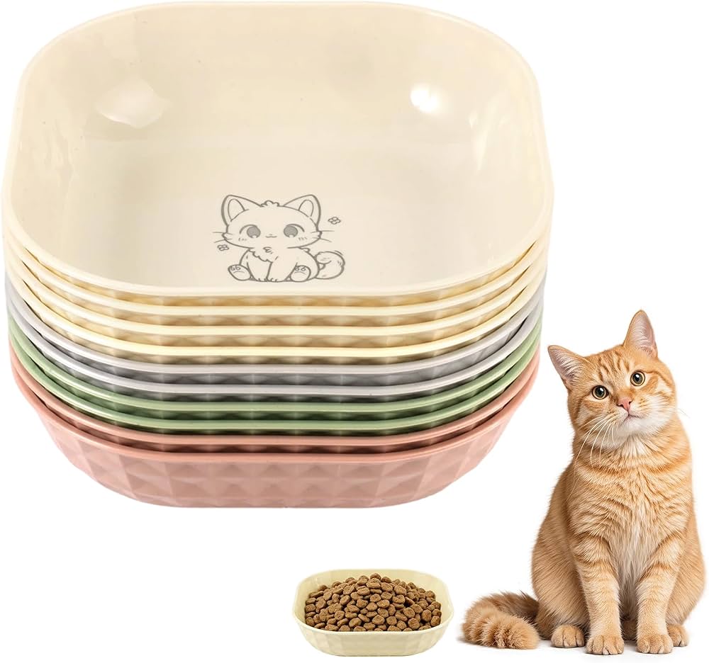 PLATO PLASTICO para gato -variedad de colores-