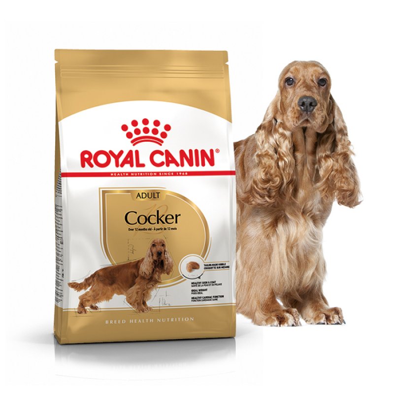 ROYAL CANIN -re- Cocker adulto 3.0KG