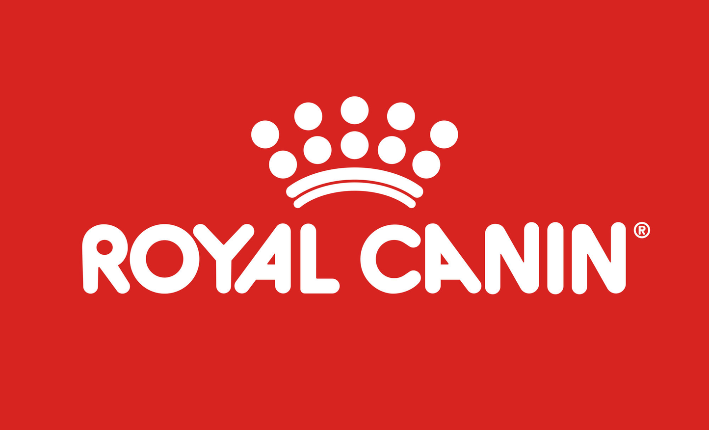 ROYAL CANIN gato senior AGEING 12+ -alimento húmedo- 85 GRAMOS