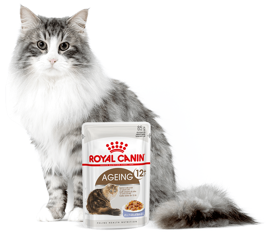 ROYAL CANIN gato senior AGEING 12+ -alimento húmedo- 85 GRAMOS
