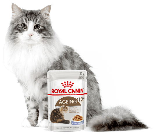 ROYAL CANIN gato senior AGEING 12+ -alimento húmedo- 85 GRAMOS